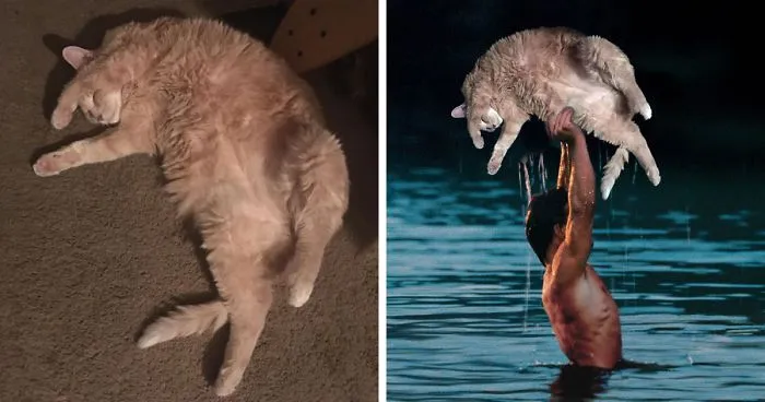'Photoshop My Fat Cat Into Weird Things'