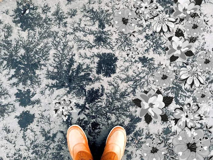 Frozen Beauty