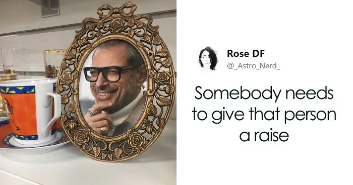 This Charity Shop Added A Picture Of Jeff Goldblum In Every Photo Frame They Had And It's Amusing