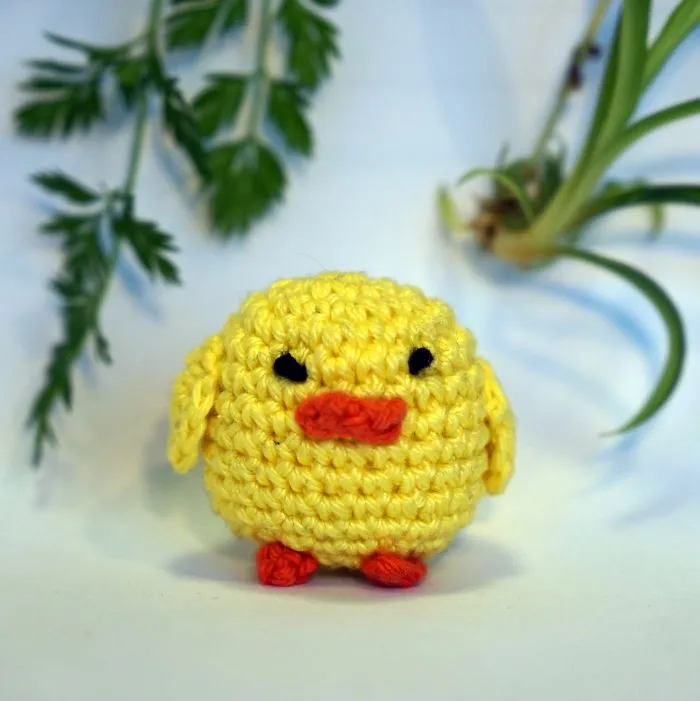 Chick