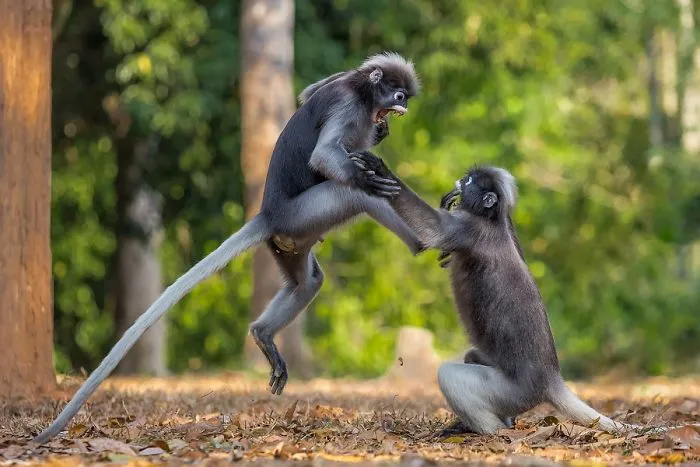 This Is Sparta