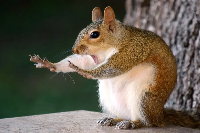 Caught In The Act