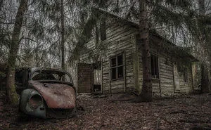 I Photographed This Creepy Forest