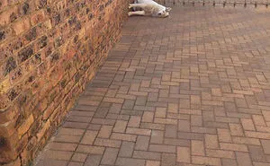 58 Gravity Defying Things That Made People Look Twice