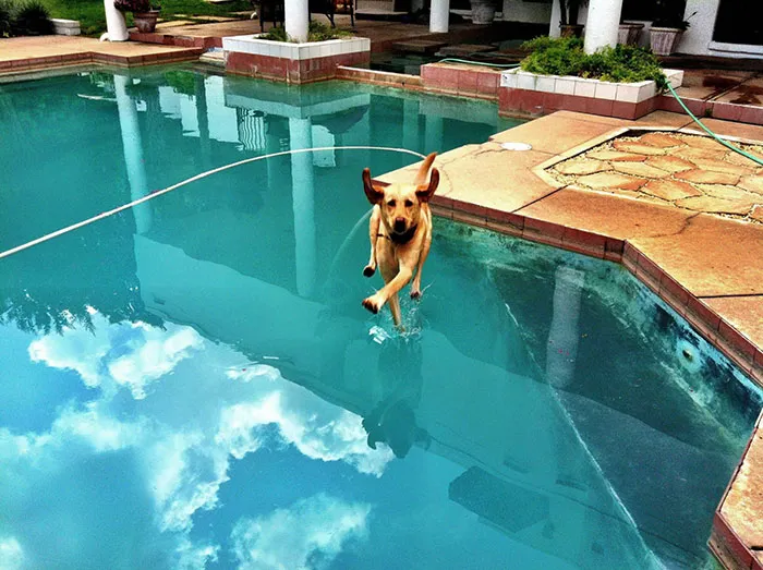 Corriendo sobre el agua, nada especial
