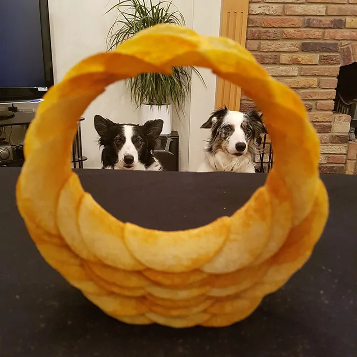 Cículo hecho con Pringles