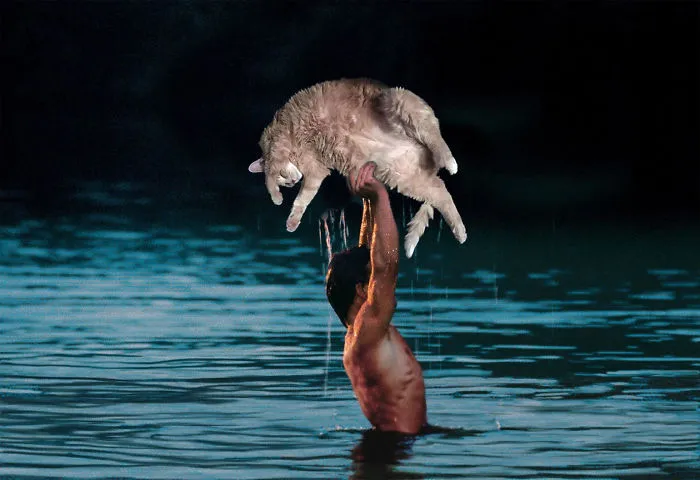 Dirty Dancing Cat