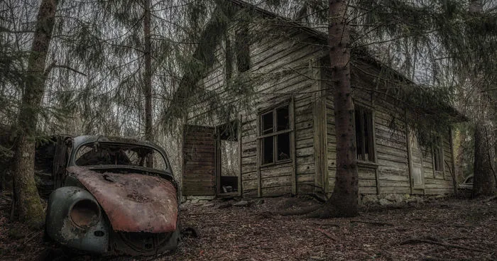 I Photographed This Creepy Forest