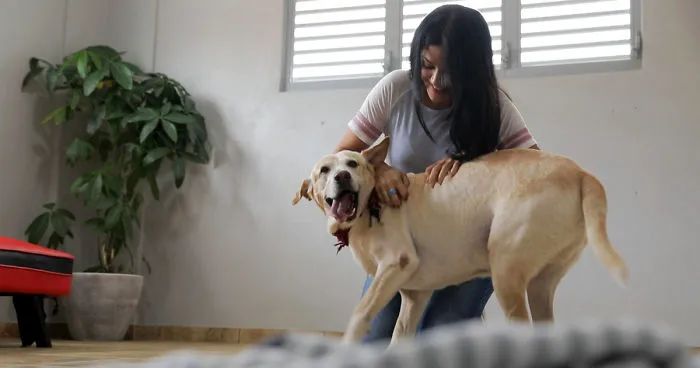#WhatTheFluff For Abandoned Dogs