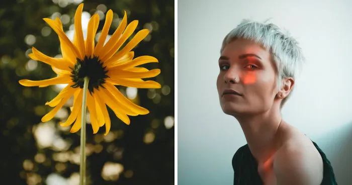 I Want To Prove That You Can Make All Kinds Of Photographs By Using The Same Cheap Kit Lens (18-55mm)