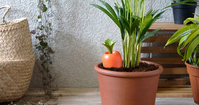 We Designed A Product That Will Water Your Plants While You're Away!
