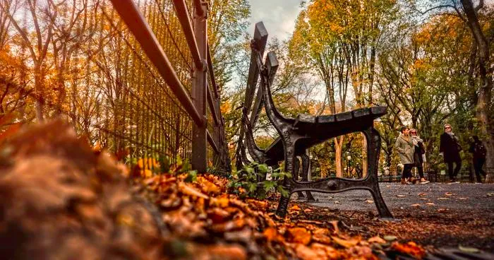 "Fall"Ing In Love With New York City