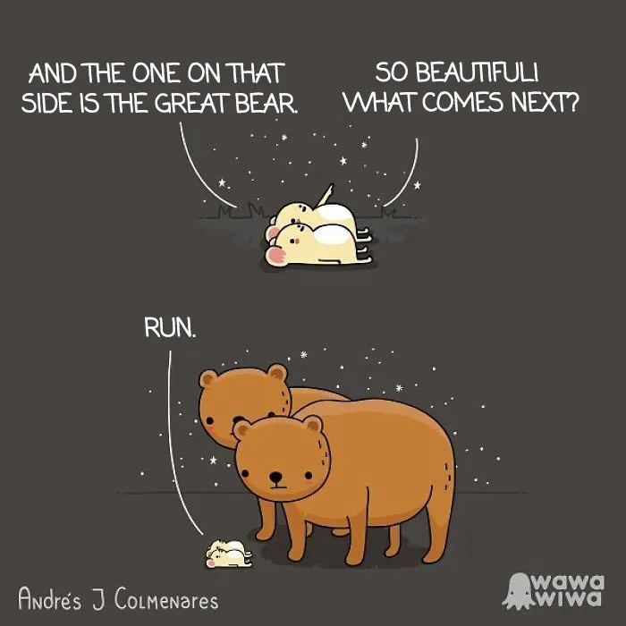 And The One On That Side Is The Great Bear. ... So Beautiful! What Comes Next? ... Run.
