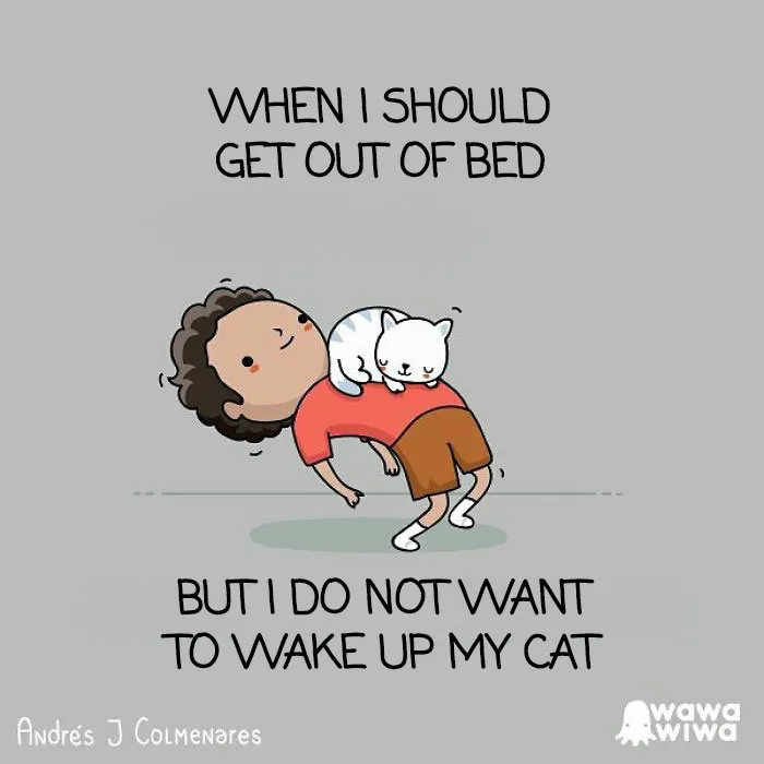 These 103 Funny Comics By Wawawiwa Are Some Of The Best Comics We've Seen In A Long Time