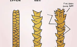242 Hilarious Memes That Will Make You Feel Bad For Your Hairstylist