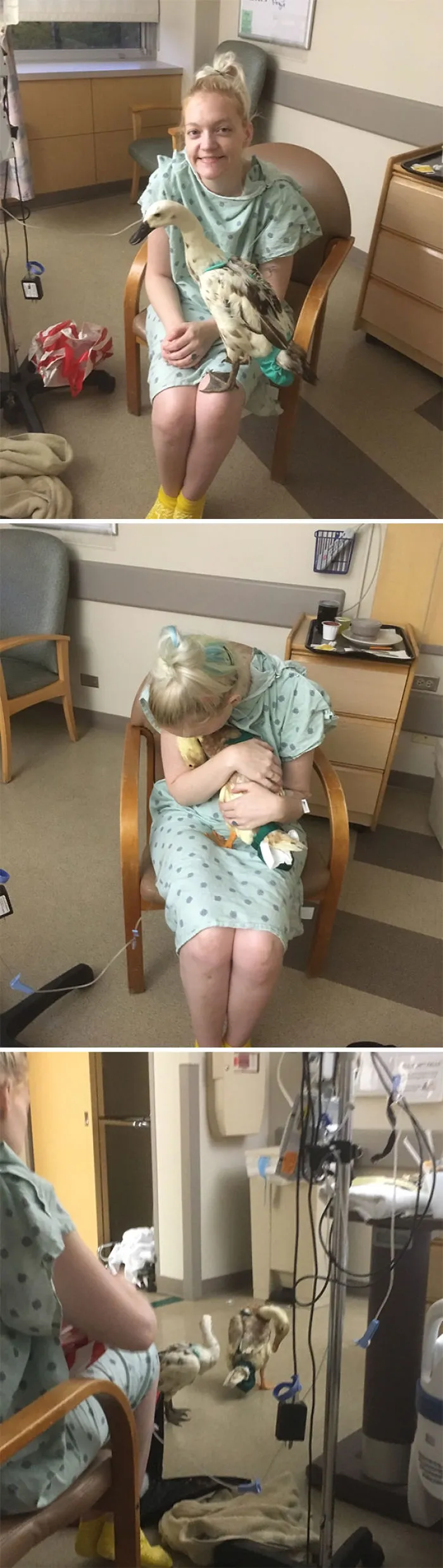 I Didn't Want To Go To The Hospital When I Had Life-Threatening Illness, Because My Elderly Pet Ducks Required Daily Medications At The Time. I'm The Only Person They'll Allow. The Nurses Let My Husband Sneak Them In At Night