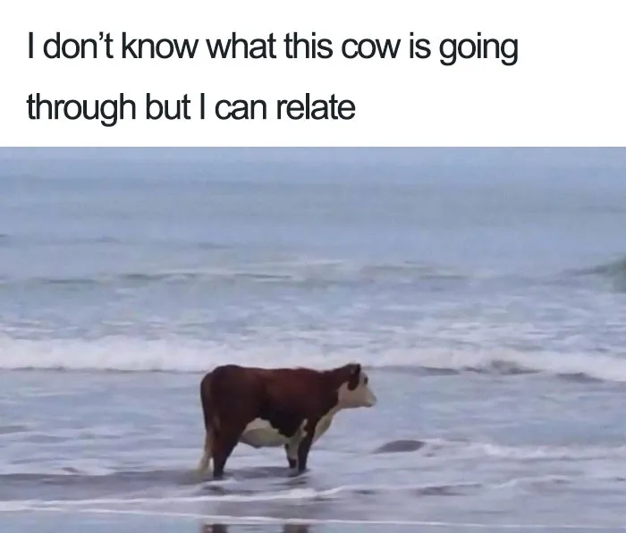 Quality Time Alone