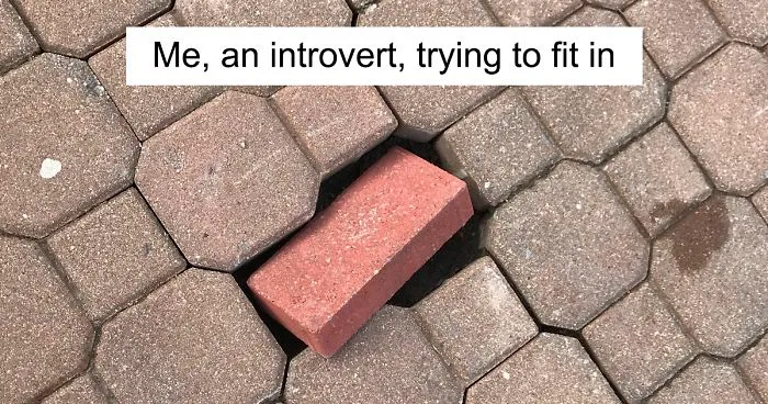 30 Funny Memes That Will Make Every Introvert Laugh Out Loud