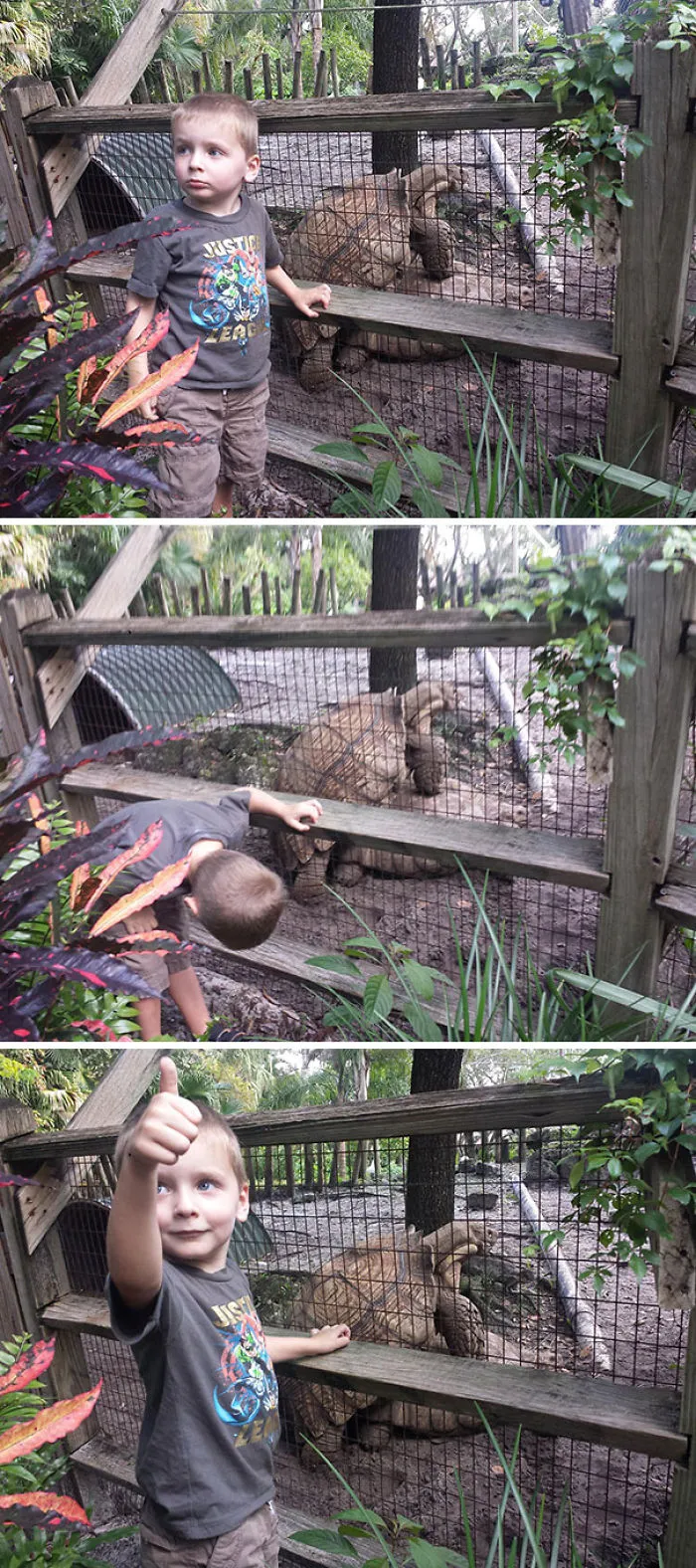 Llevamos a mi hijo de 3 años al zoo. Creo que ha aprendido mucho