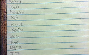 30 Kids That Have No Idea How Funny They Are