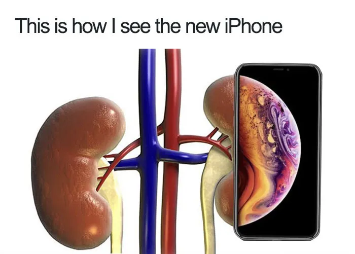Apple Reveals Its Newest iPhone, The Internet Reacts With 62 Hilarious Memes