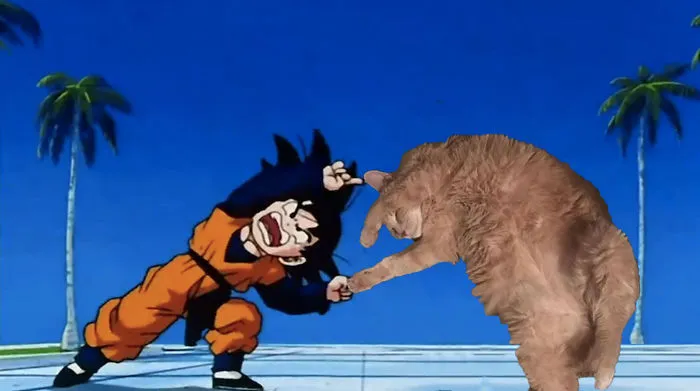 Fusion