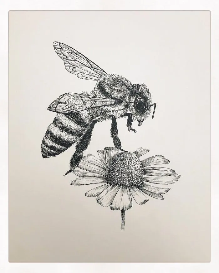 A Bee