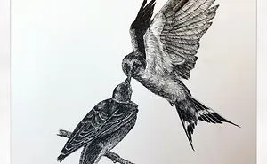10 Amazingly Detailed Drawings Of Birds And Insects By Bas Geeraets