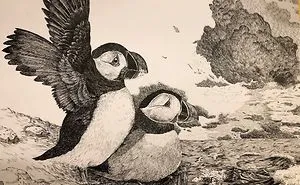 10 Amazingly Detailed Drawings Of Birds And Insects By Bas Geeraets