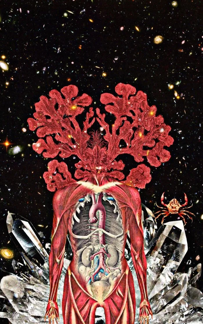 Digital Collage Art