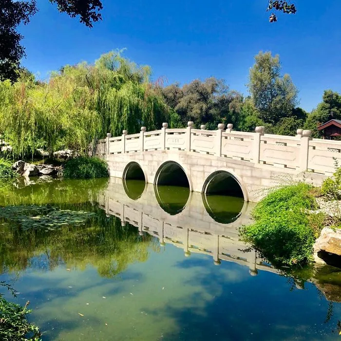 The Amazing World Of The Huntington Garden In L.a.