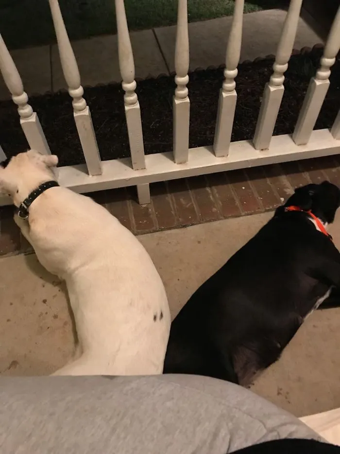 Sisters Part 2