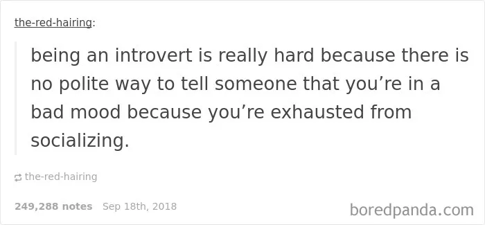 51 Times Tumblr Made Introverts Laugh Out Loud
