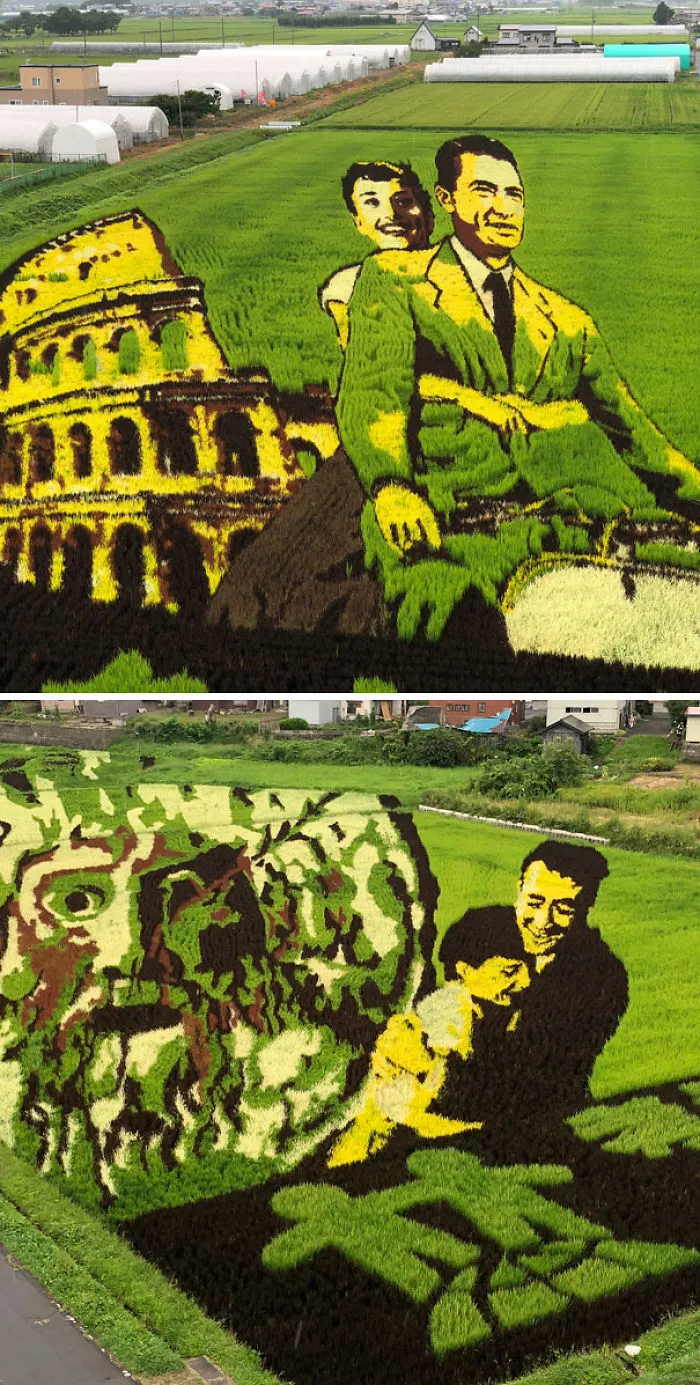 El Arte En Los Campos De Arroz Es Una Forma De Arte Originaria De Japón, Donde La Gente Planta Arroz De Varios Tipos Y Colores Para Crear Imágenes En Un Campo De Arroz