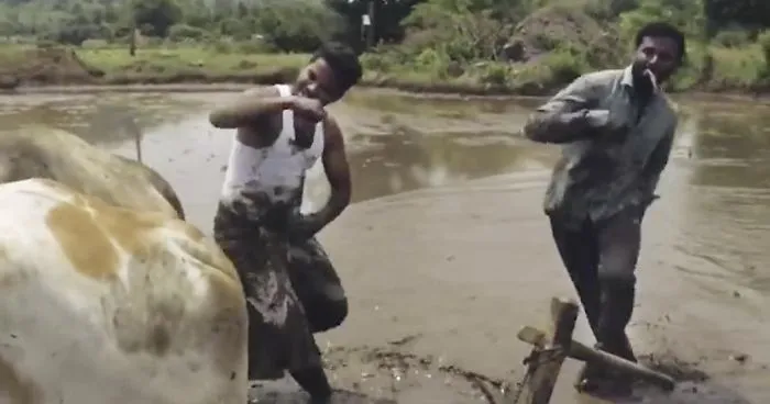 These Indian Farmers Took On The Kiki Challenge And It Might Be The Best One Yet
