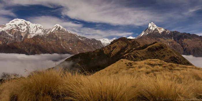 Mardi Himal Base Camp Trek