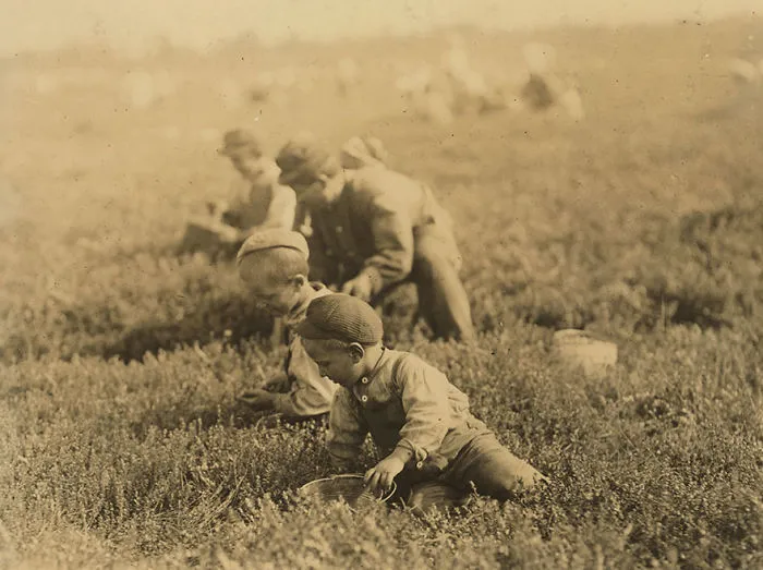 Arnao Family,  Whole Family Works. Jo Is 3 Years Old. Boy Is 6 Years Old, Girl Is 9 Years Old. May 28th 1910, Before School Closed. Location: Browns Mills, New Jersey