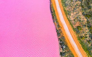 I Photographed A Pink Lake From The Air