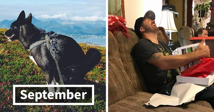 2019 Pooping Dog Calendar Is Here, And It's The Crappiest Calendar We've Ever Seen