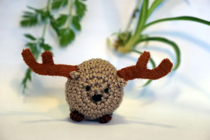 Moose
