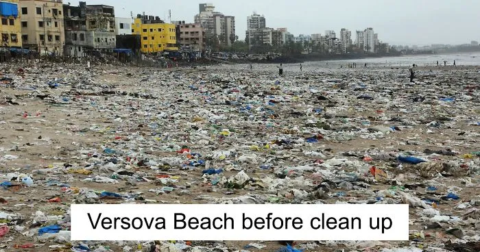 Turtles Come Back To Indian Beach For The First Time In 20 Years After World's Biggest Clean Up, Prove We Can Make A Difference