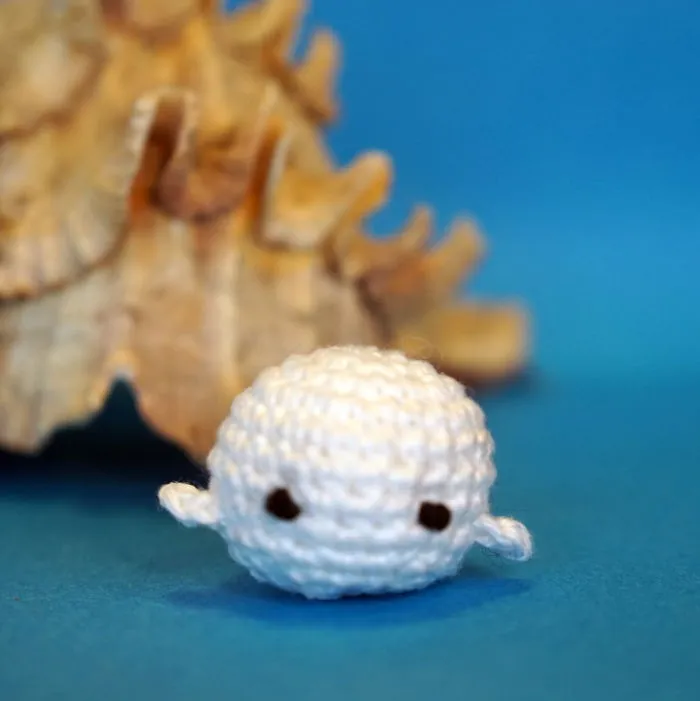 Seal