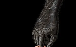 I Illustrated How The Power Of Human Hand Changed In 1000 Years