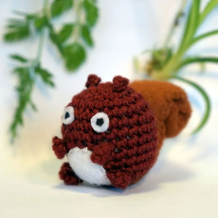 Squirrel