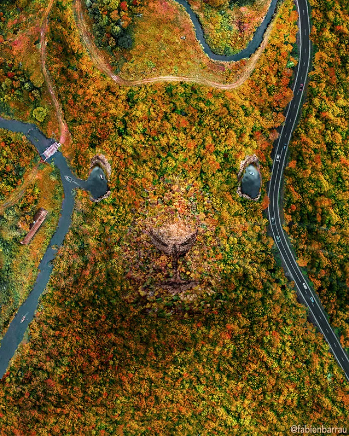 Artist Inspired By Pareidolia Adds Faces Where They Don't Occur Naturally