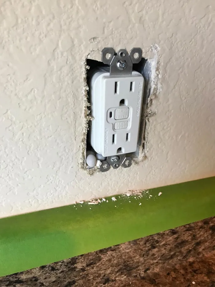 I Found Lizard Eggs In My Wall