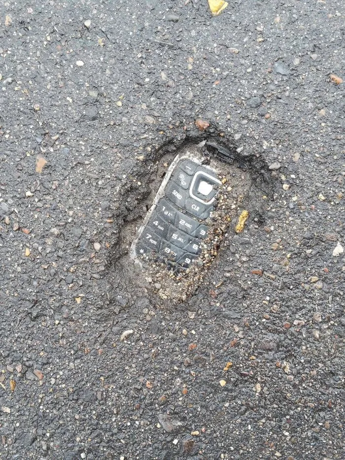 Found A Fossil In The Parking Lot Of A Pet Store