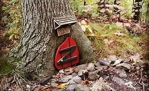 50 Surprising Things That People Found