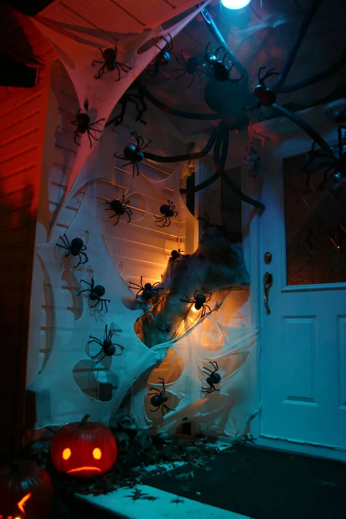 Spider Invasion