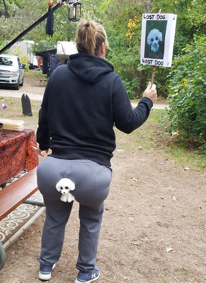 A person wearing a humorous Lost Dog theme Halloween costume with a small stuffed toy dog on their pants.